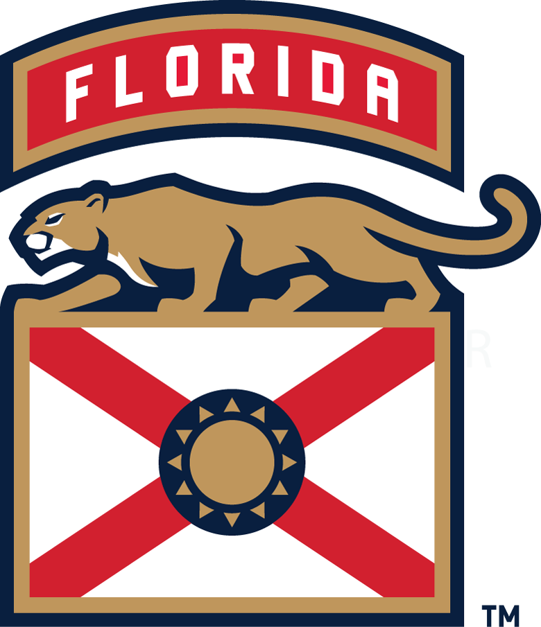 Florida Panthers 2016-Pres Alternate Logo v3 DIY iron on transfer (heat transfer)